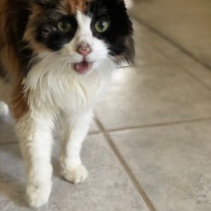 Meet your Posher, Jack